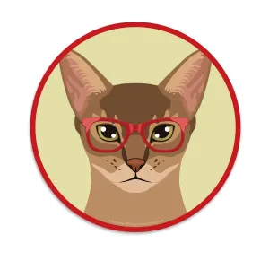 Abyssinian Cat Wearing Hipster Glasses Mini Vinyl Sticker