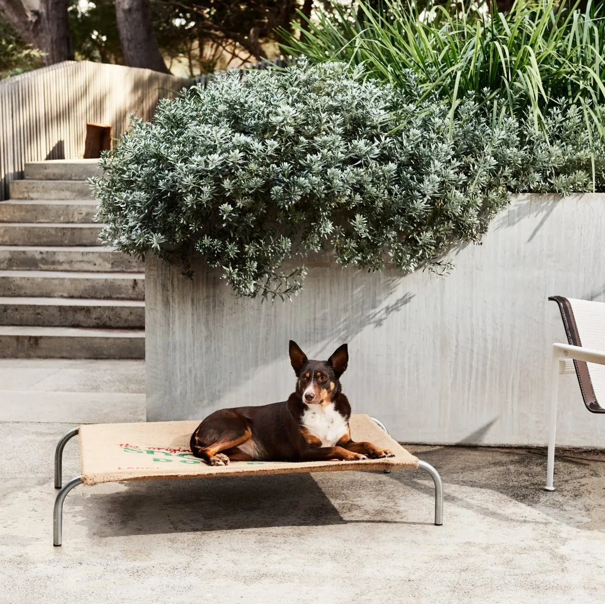 Original Dog Bed Cover