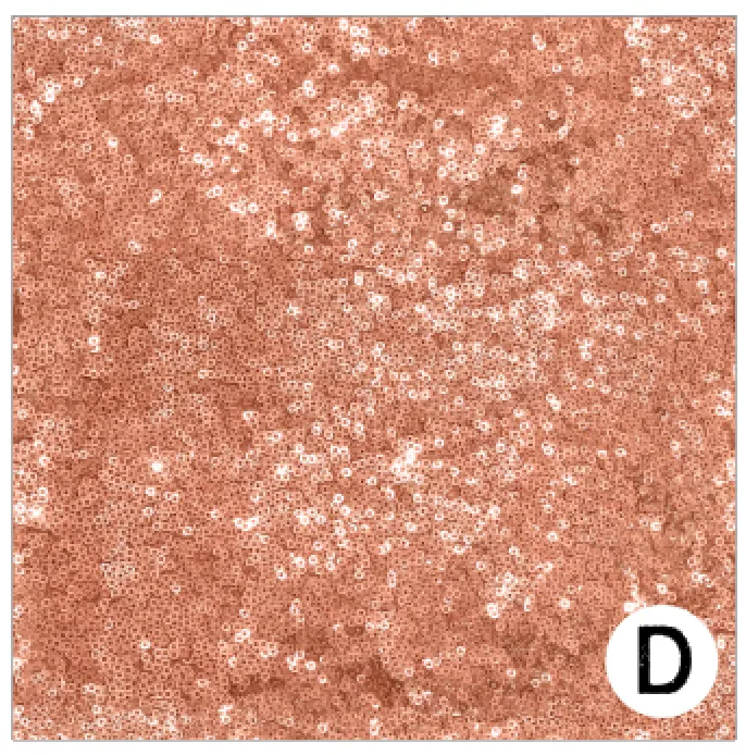Printed Heat Transfer Vinyl HTV PEACH SHIMMER Pattern