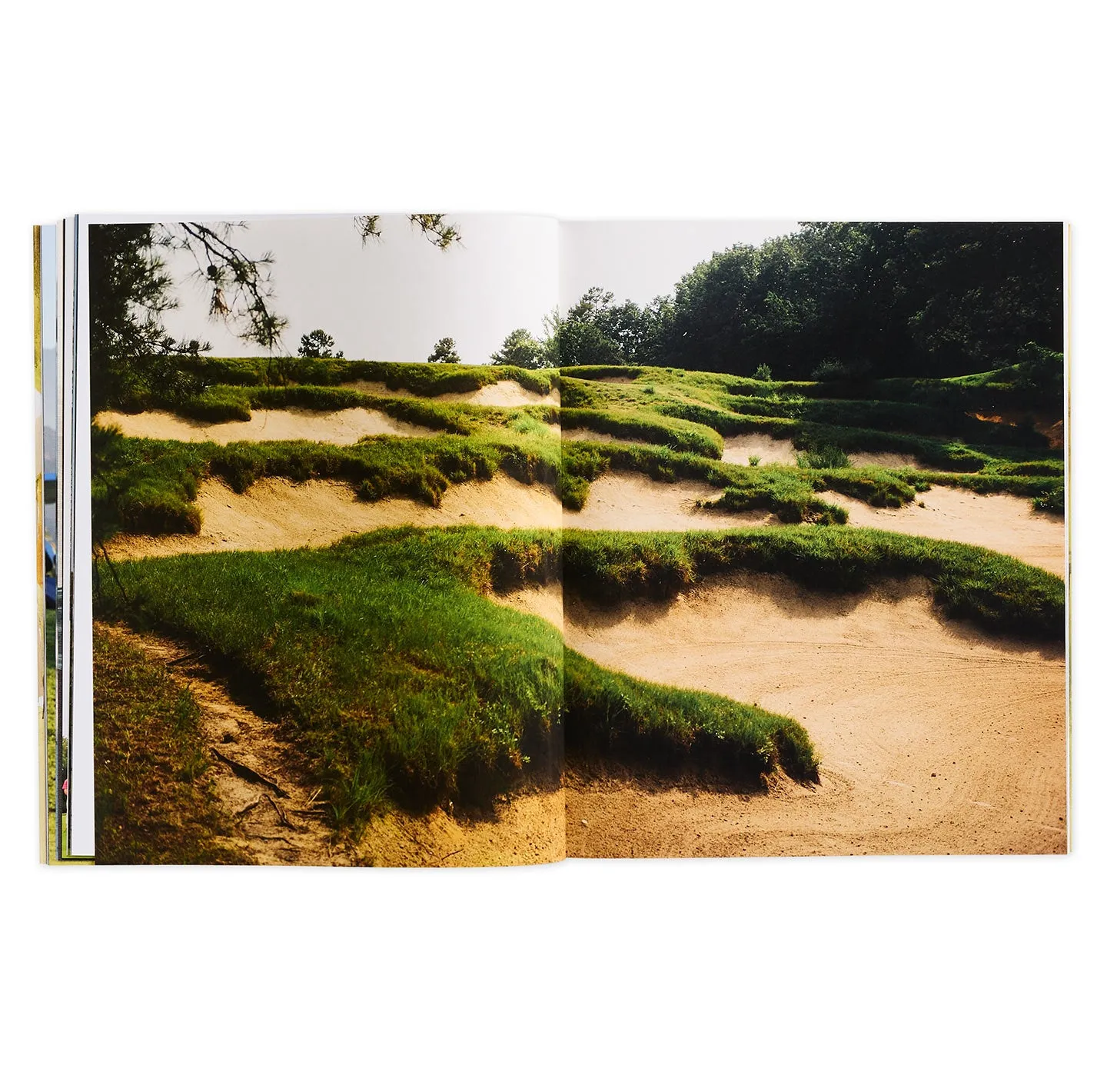The Golfer's Journal #20